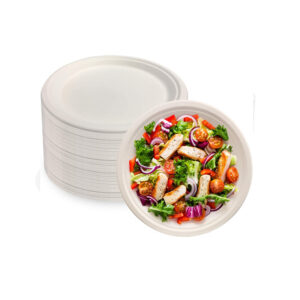 BIODEGRADABLE BAGASSE 10 INCH ROUND PLATE 500 - BOX