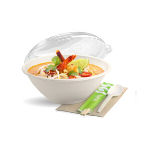 BIODEGRADABLE BAGASSE 6 INCH BOWL WITH CLEAR LIDS - 500 - BOX