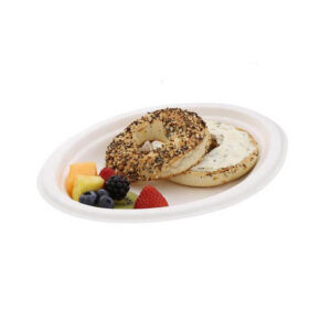 BIODEGRADABLE BAGASSE 6 INCH ROUND PLATE - 500 - BOX