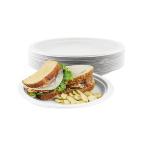BIODEGRADABLE BAGASSE 9 INCH ROUND PLATE 500 - BOX