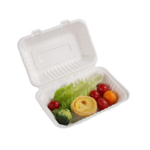 BIODEGRADABLE BAGASSE LARGE SNACK BOX - 250-BOX
