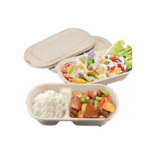 Biodegradable Sugarcane Bagasse Container & Clear Lids 1000ML