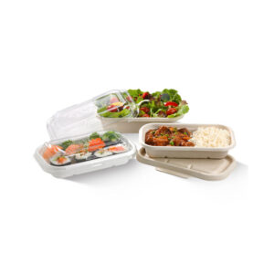 Biodegradable Sugarcane Bagasse Container & Lids 500ML