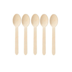 WOODEN SPOON 100PC-BOX