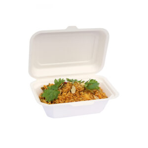 BIODEGRADABLE BAGASSE SMALL SNACK BOX - 500 - BOX